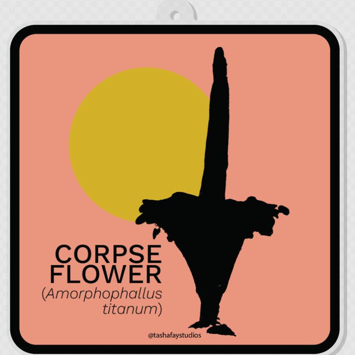 3" Corpse Flower Acrylic Ornament for wholesale by Tasha Fay