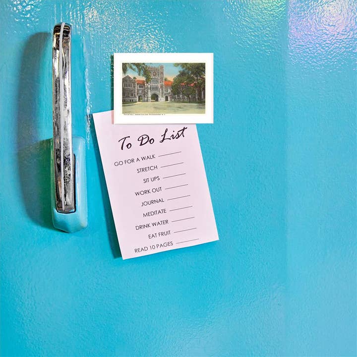 Found Image Press - Wholesale Magnet - Magnet NS-584 Vassar College, Poughkeepsie, New York1