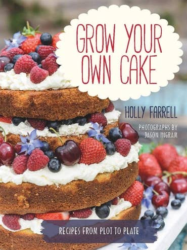 Grow Your Own Cake (shelf worn) by Holly Farrell for wholesale by Boon Books