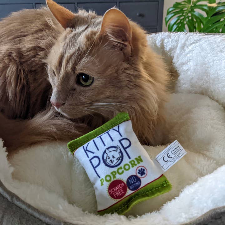 Huxley & Kent - Wholesale Speeltje - Kat - Kitty Pop Katten Speelgoed3