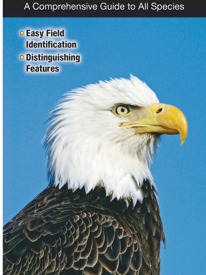 Raptors of Western North America for wholesale by Quick Reference Publishing, Inc