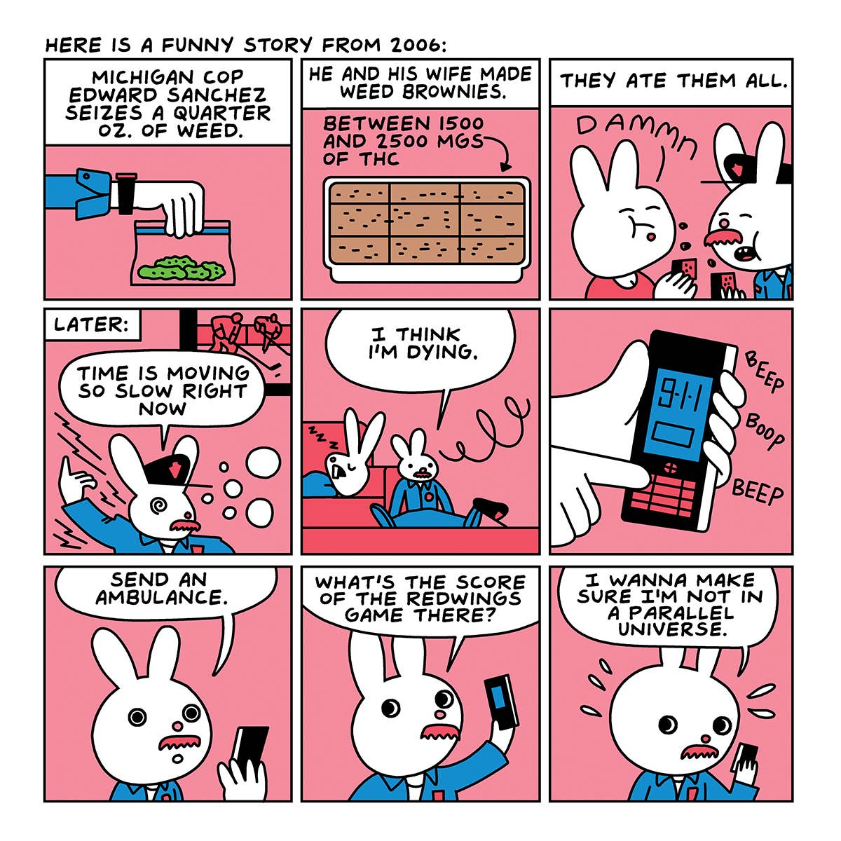 Yellow Salmon White Are You Too High? Adult Storybook, STR-004 for wholesale on Faire1