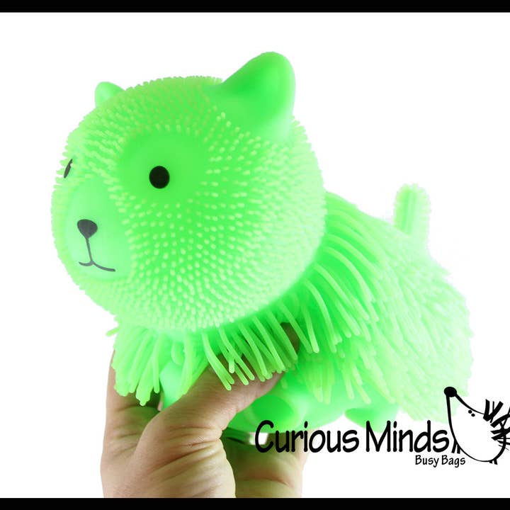 Curious Minds Toys - Wholesale Fidget Toy - Kids - 1 Shaggy Cat Large 7" Puffer Ball - Sensory Therapy Fidget S