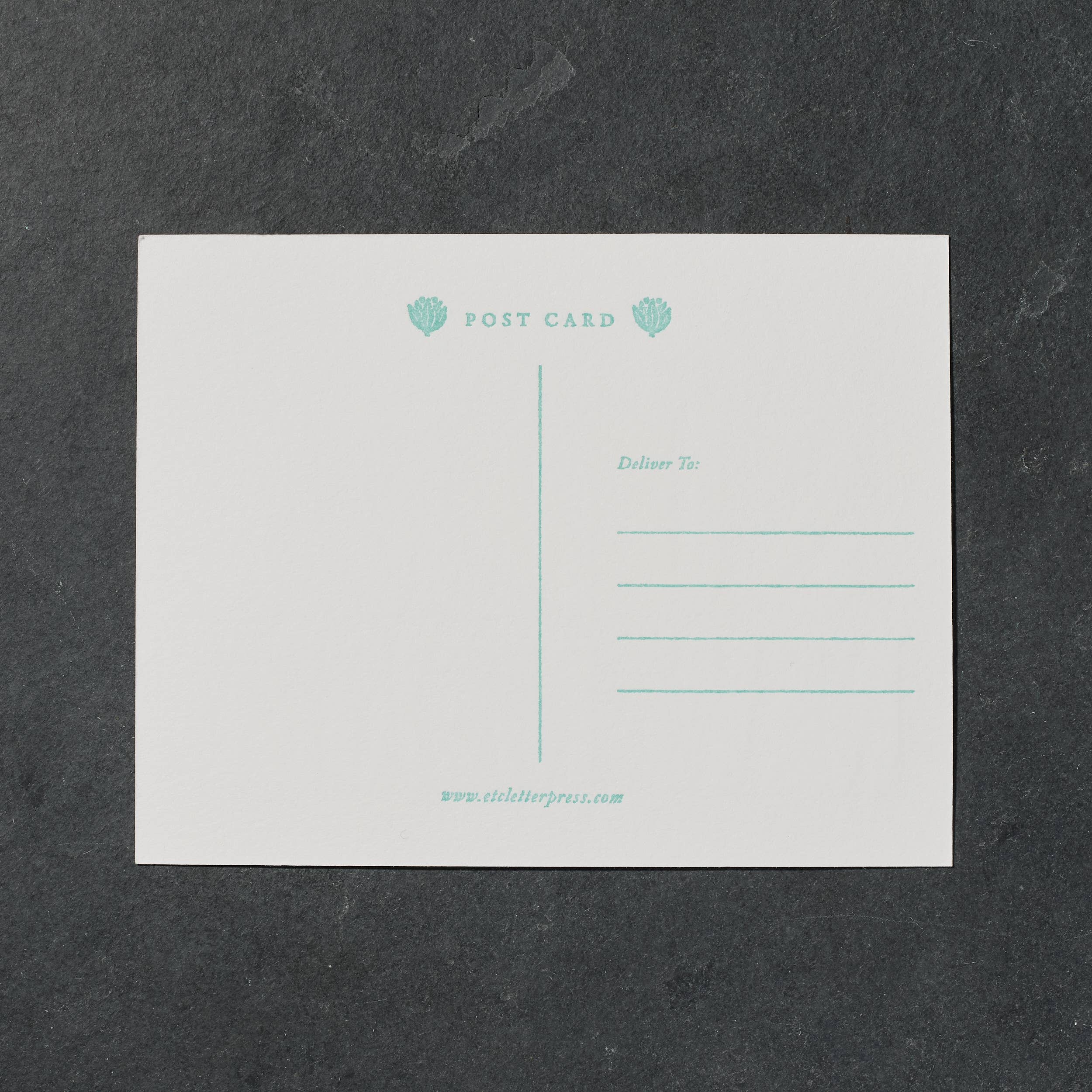 Etc. Letterpress - Wholesale Everyday Greeting Card - Greetings from Sunny New Mexico Postcard1