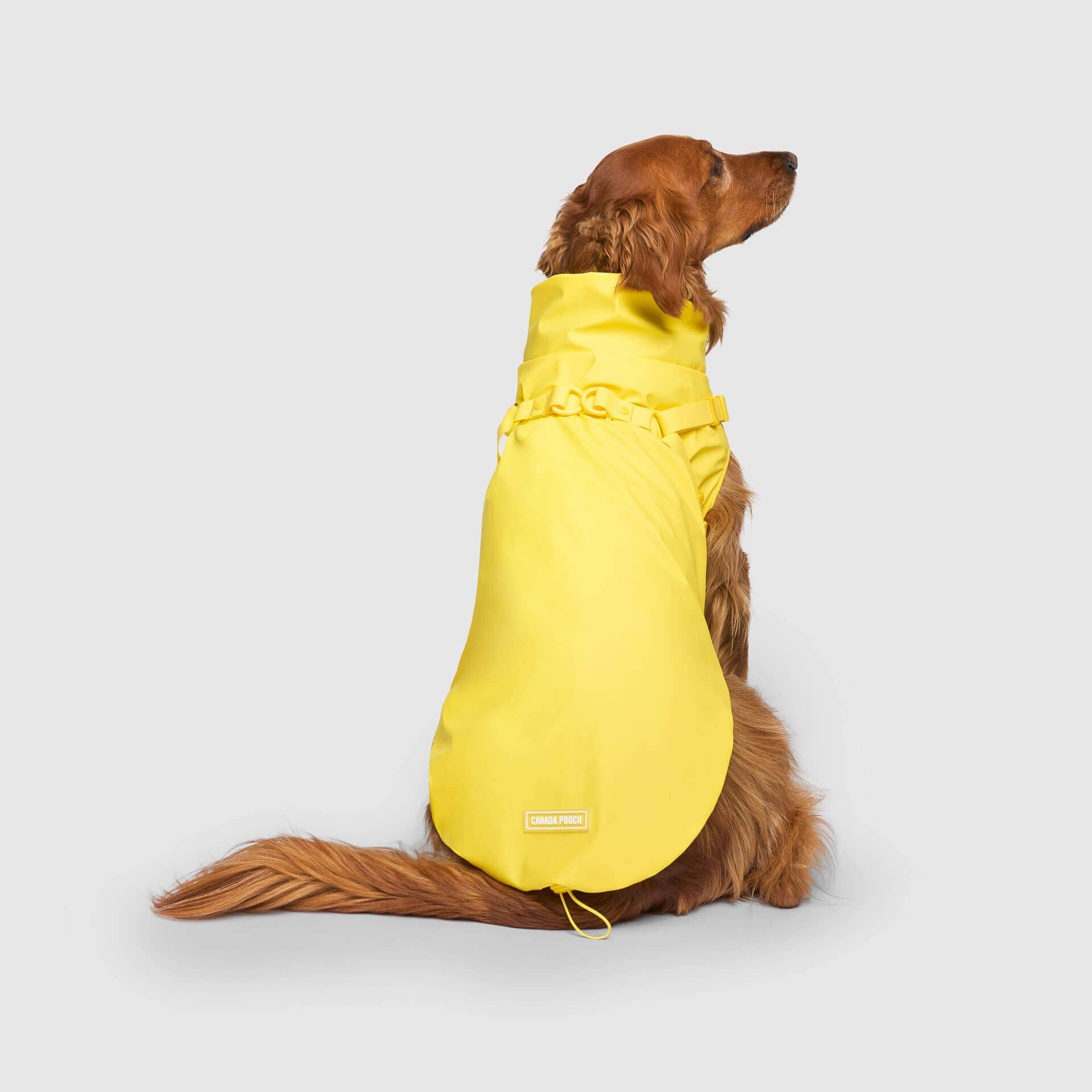 Canada Pooch - Vente Imperméable – chien - Imperméable harnais pour chien - manteau de pluie5