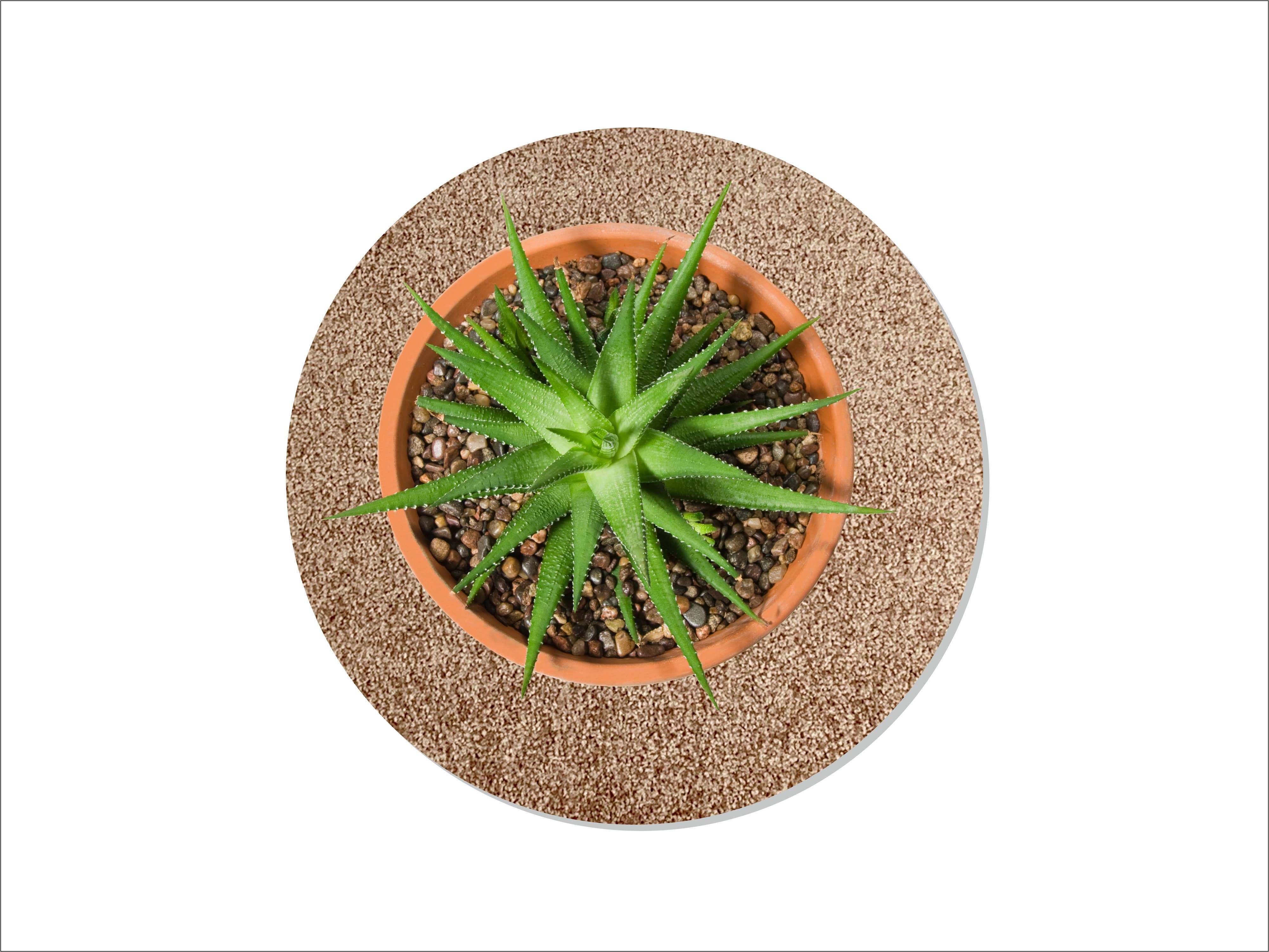 Keilbach Designprodukte - Wholesale Plant Pot - Flora8