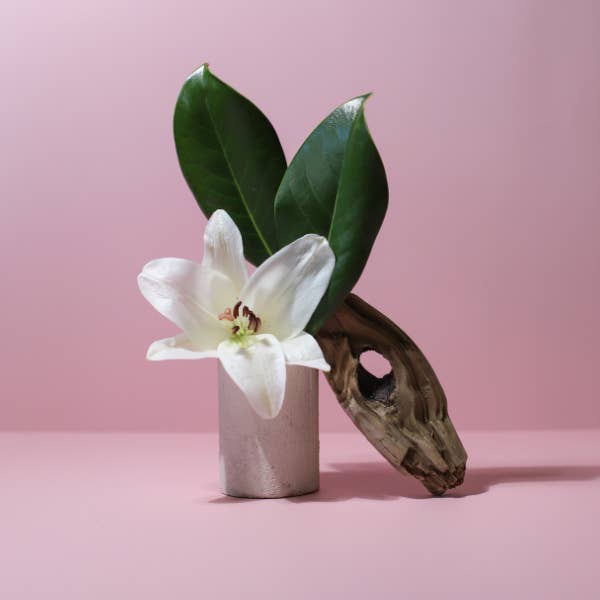 Magnolia + Sandalwood for wholesale by Lark Artisan Supply