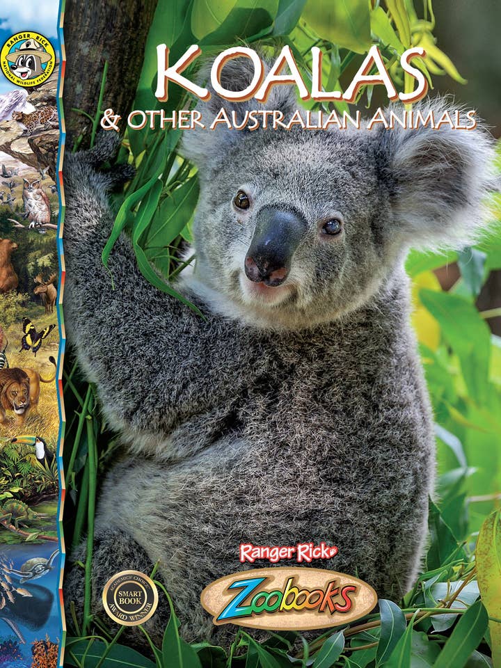 Koalas and Other Australian Animals for wholesale by Black Rabbit Books