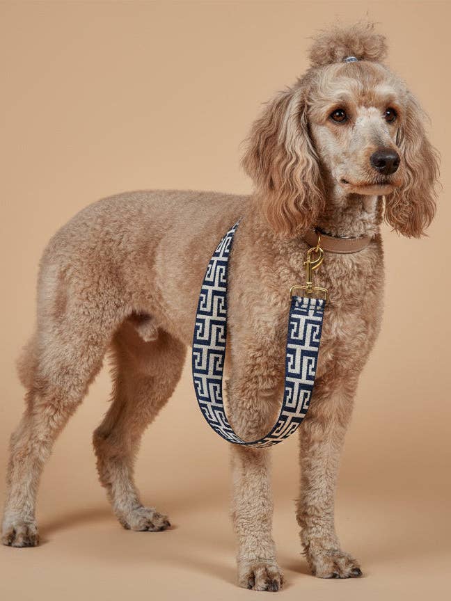 Leine Bleu voor wholesale door Meilleur Ami