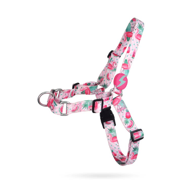 Pettorina Frontale Flamingo per Cani per la vendita all'ingrosso da parte di DASHI