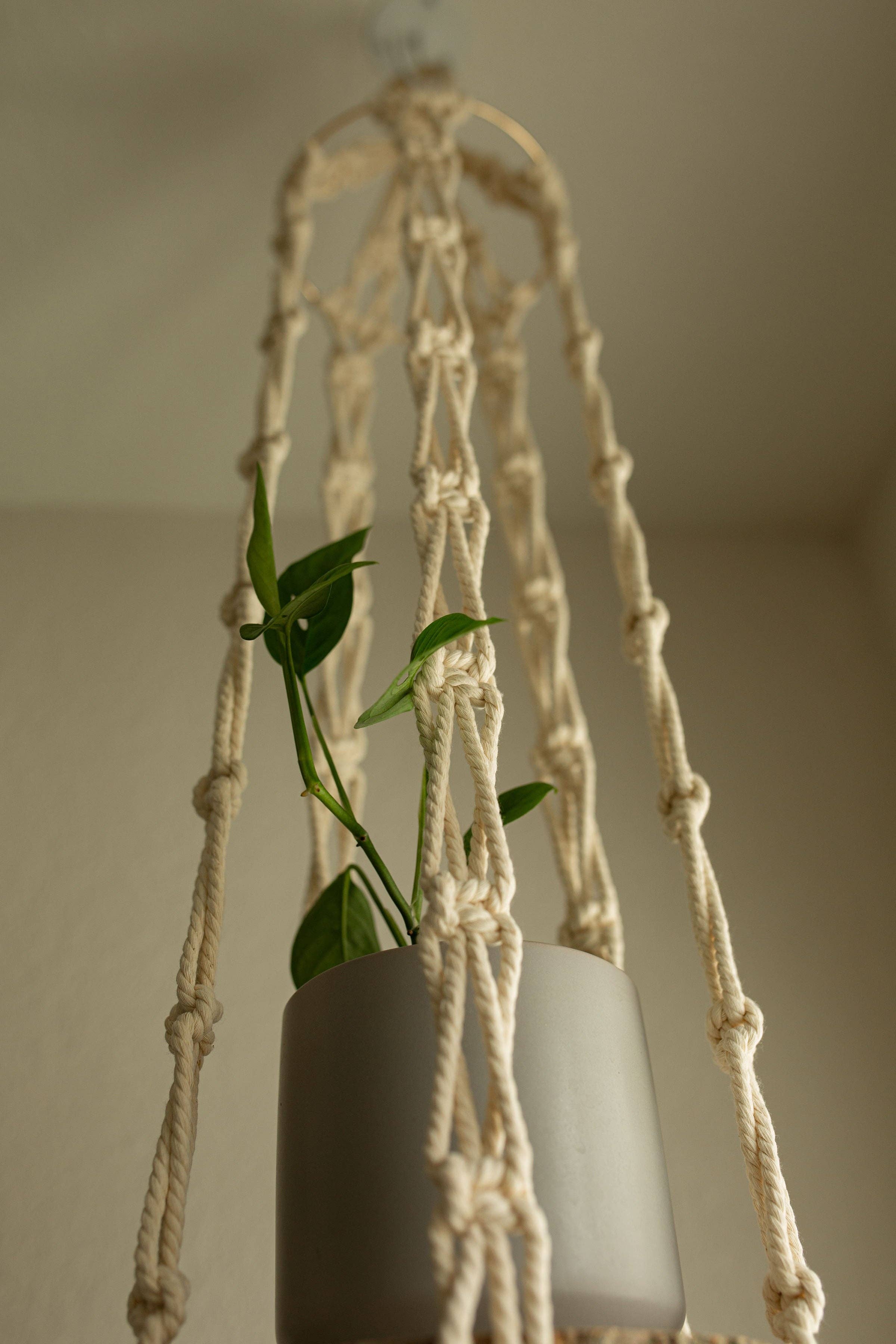Macra Madam - Wholesale Hanging Planter - “Hera” Short Plant Hanger2