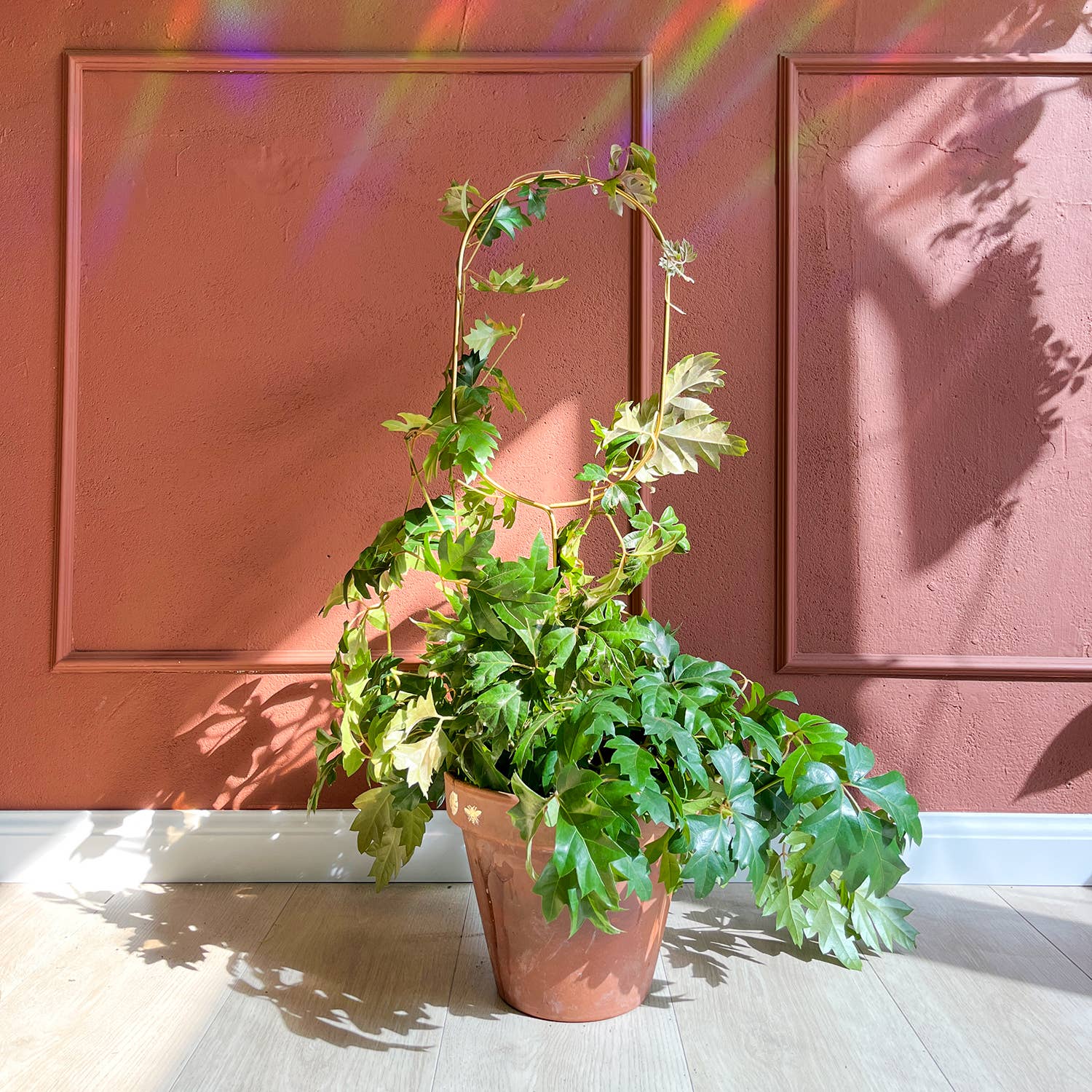 Botanopia - gifts , decor and cards for plant lovers - Wholesale Garden/Lawn Stake - Golden Plant Stake – Arch1