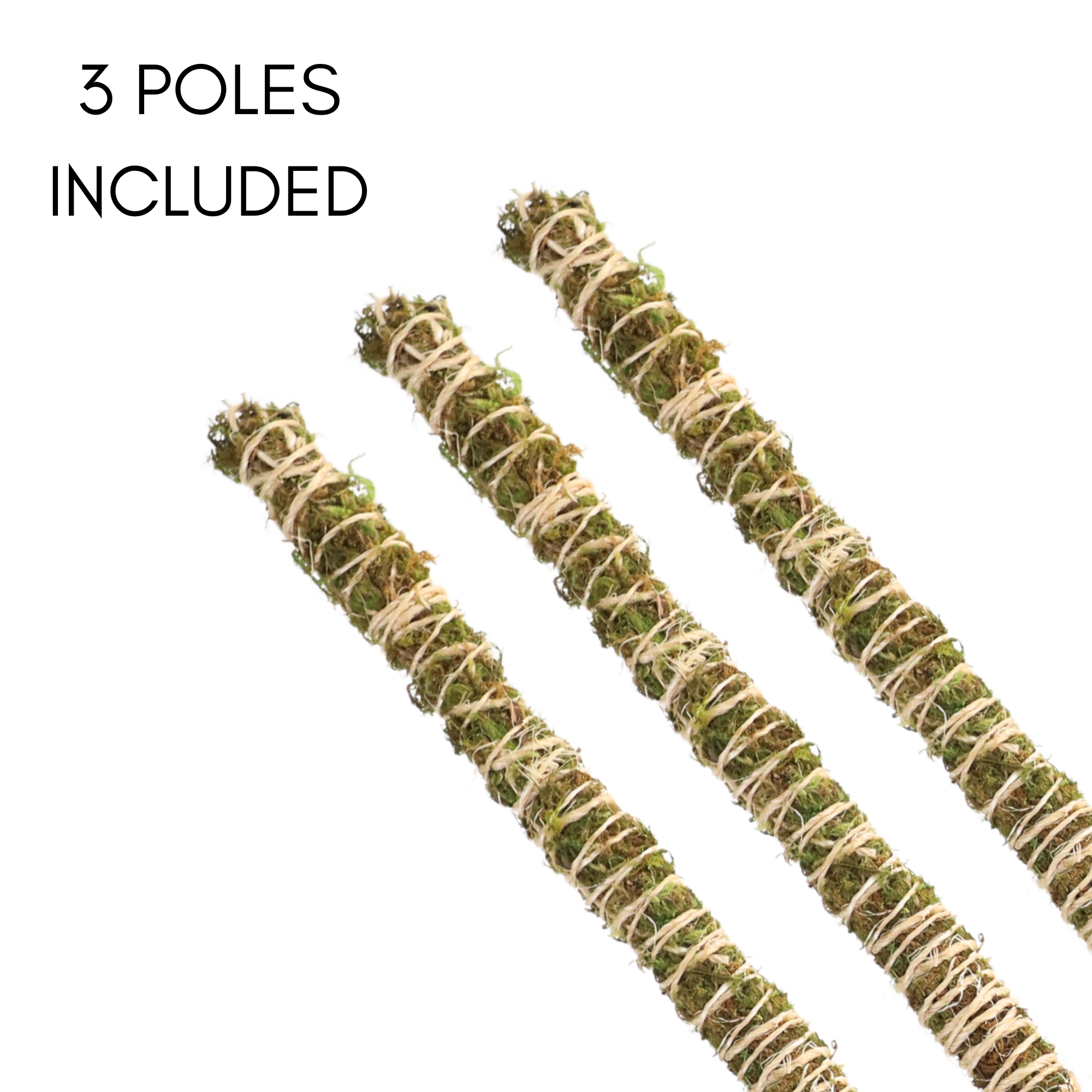 Mossify - Wholesale Garden Tool - 3 Pack Bendable Moss Pole Thin – Flexible Support for Plants2
