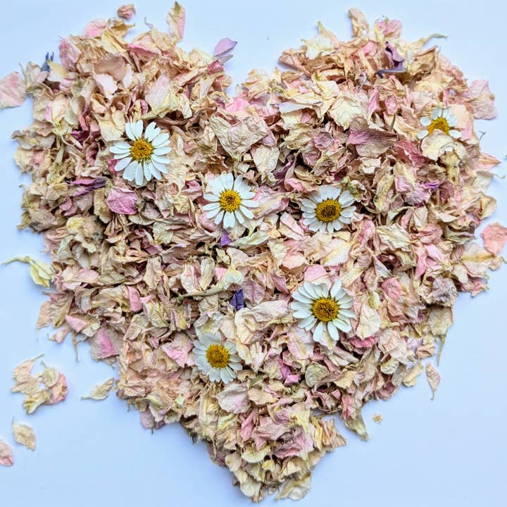 Daisy Confetti Bag With Pink Delphinium Petals UK Grown for wholesale by Daisy Gifts Ltd