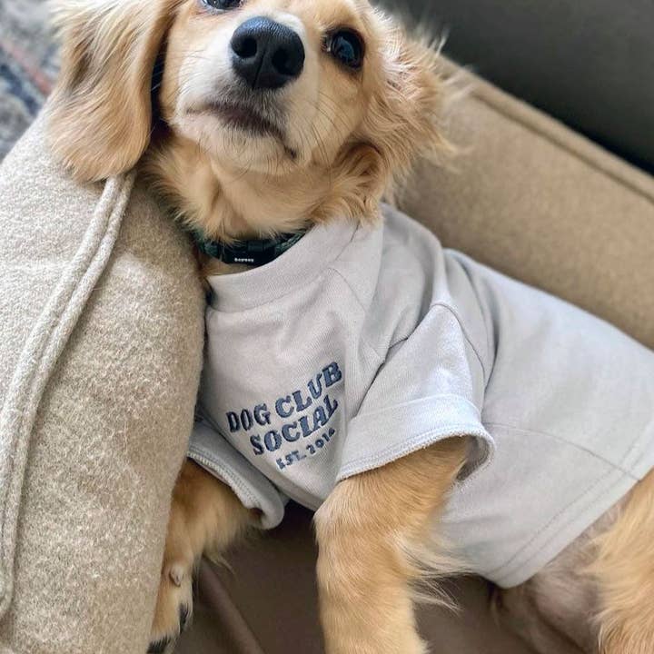 Good Thomas - Wholesale Pet Shirt - Dog - Dog Embroidered Tee