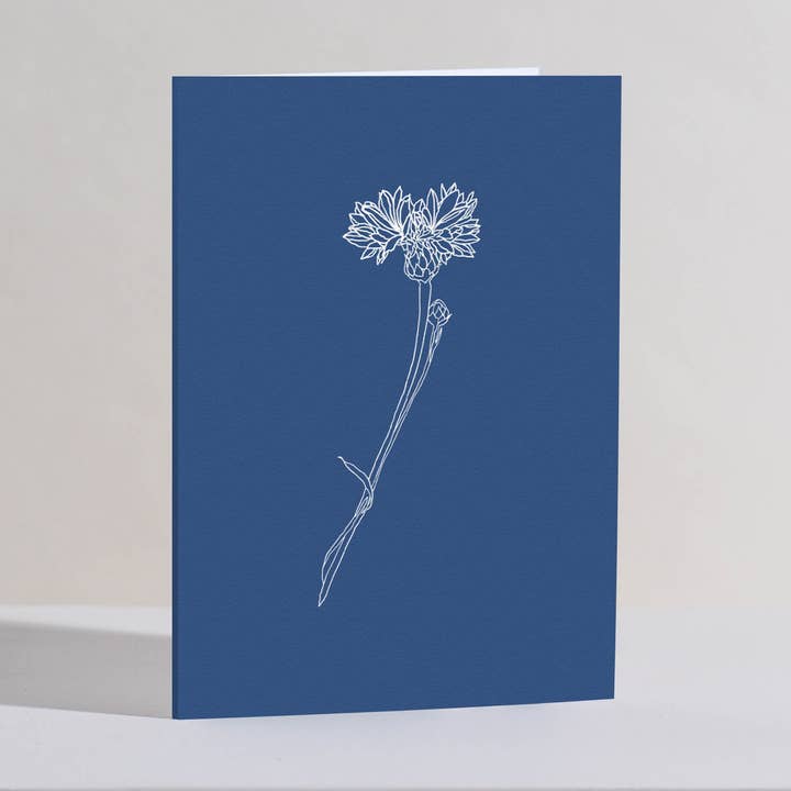 Cornflower greetings card for wholesale by Verity Burton