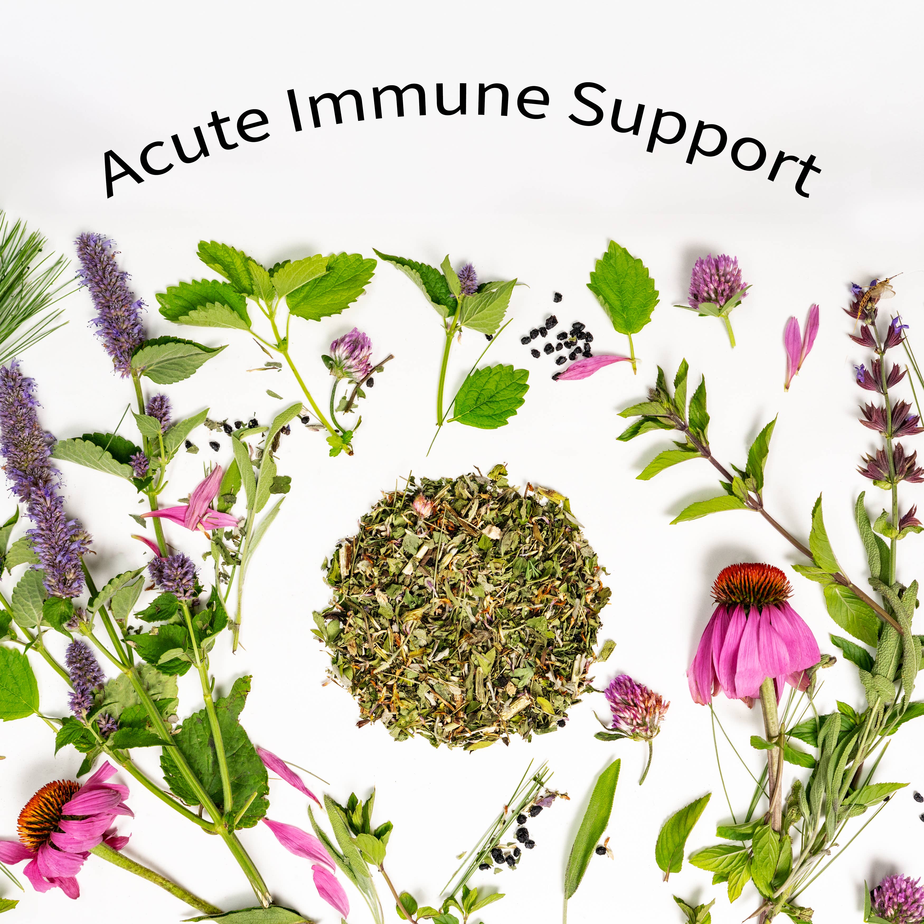 Sacred Blossom Farm - Wholesale Health/Detox Tea - Immunity Herbal Tea4