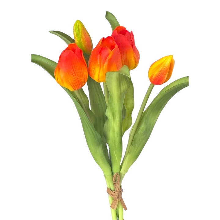 Ramo de tulipanes x 5, 30 cm "tacto suave" naranja para venta al por mayor de Floratexx