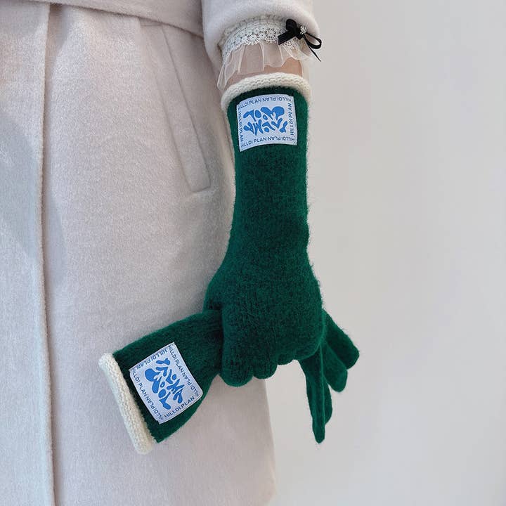 Dipped Shop - Wholesale Gloves – Women's - Winter Thermal Soft Touchscreen Wool Long Gloves DP25G71010