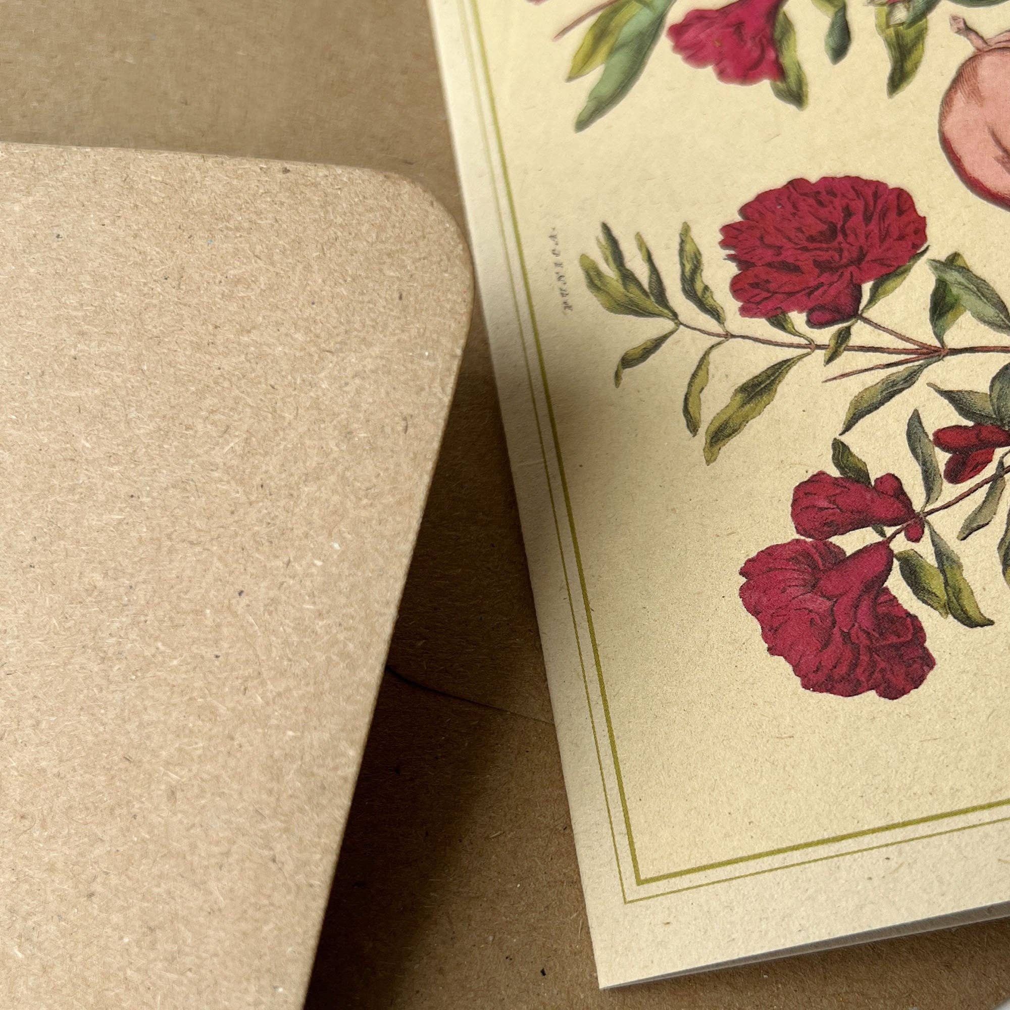 Napiers – wholesale Art print – Napiers Botanical Prints6