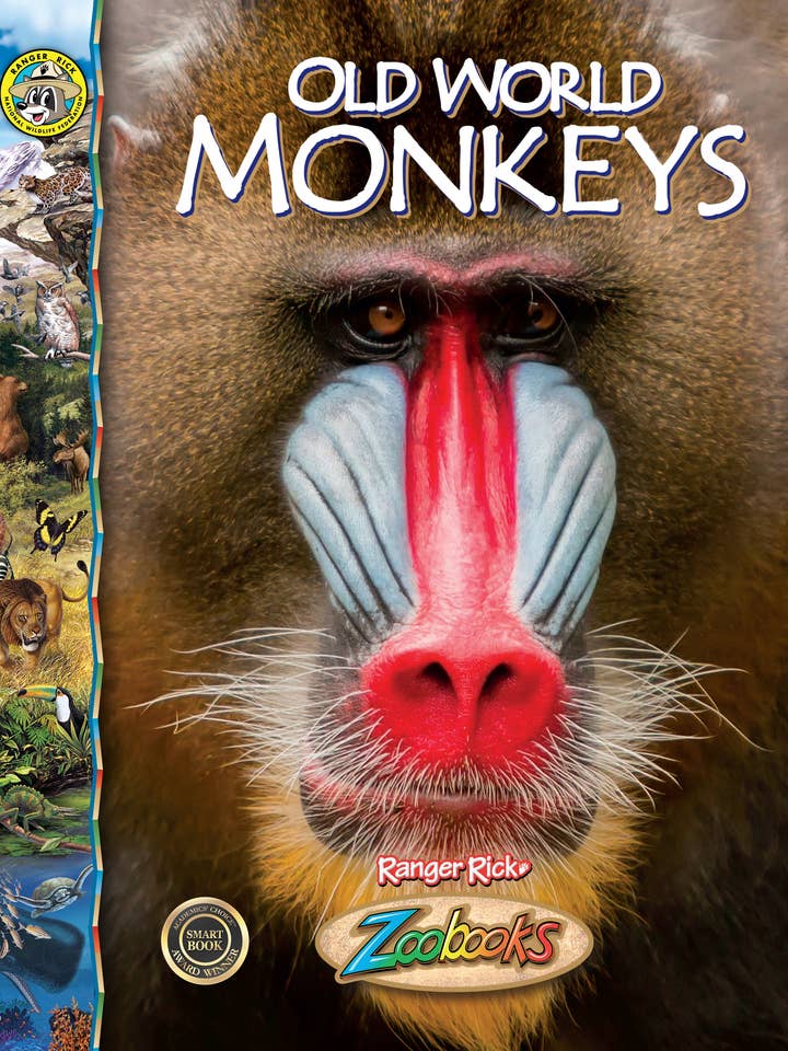 Monos del Viejo Mundo para venta al por mayor de Black Rabbit Books