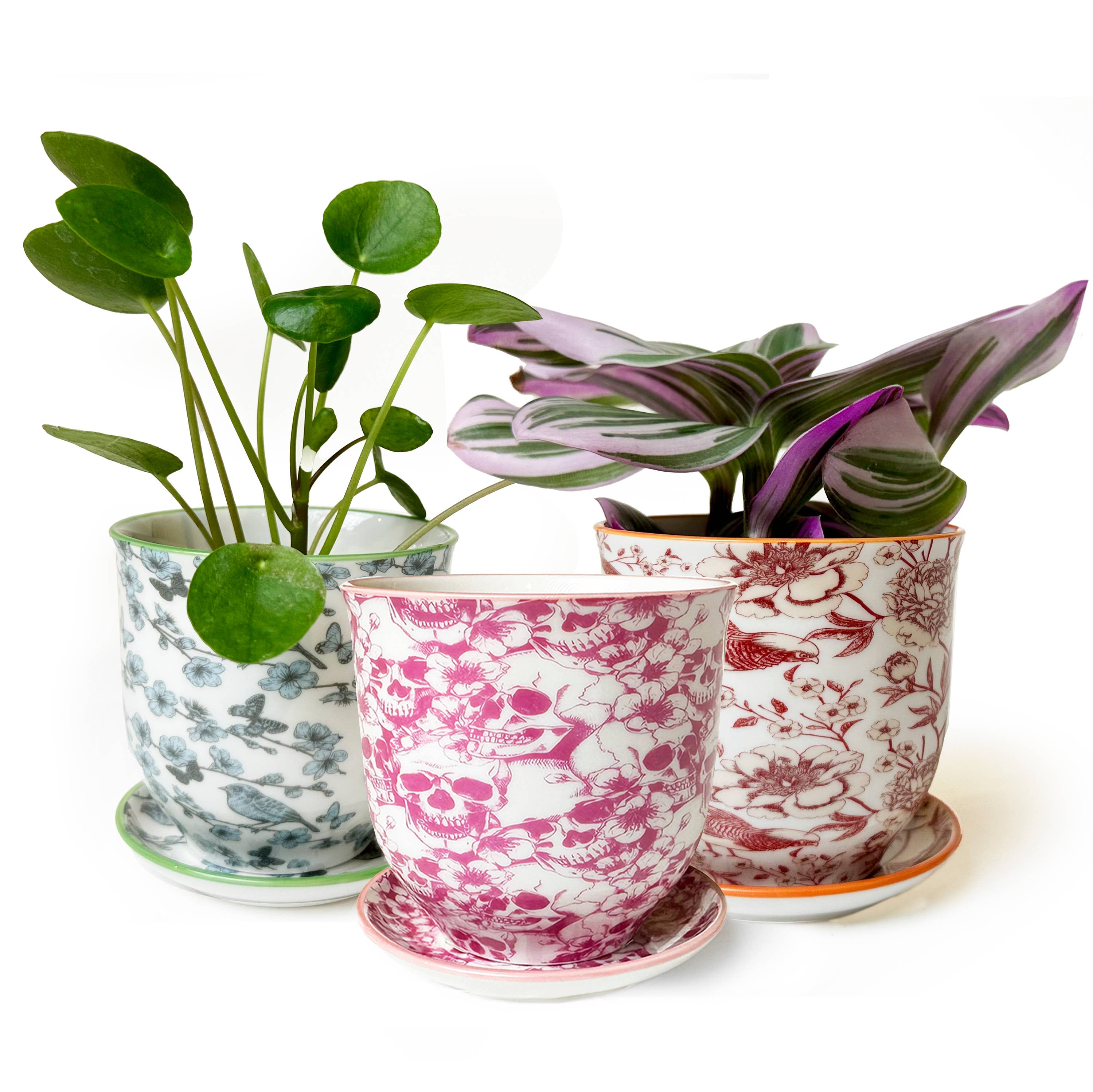 Chive UK - Vente Pot - Liberte 5 - Pot en porcelaine émaillée, motifs variés11
