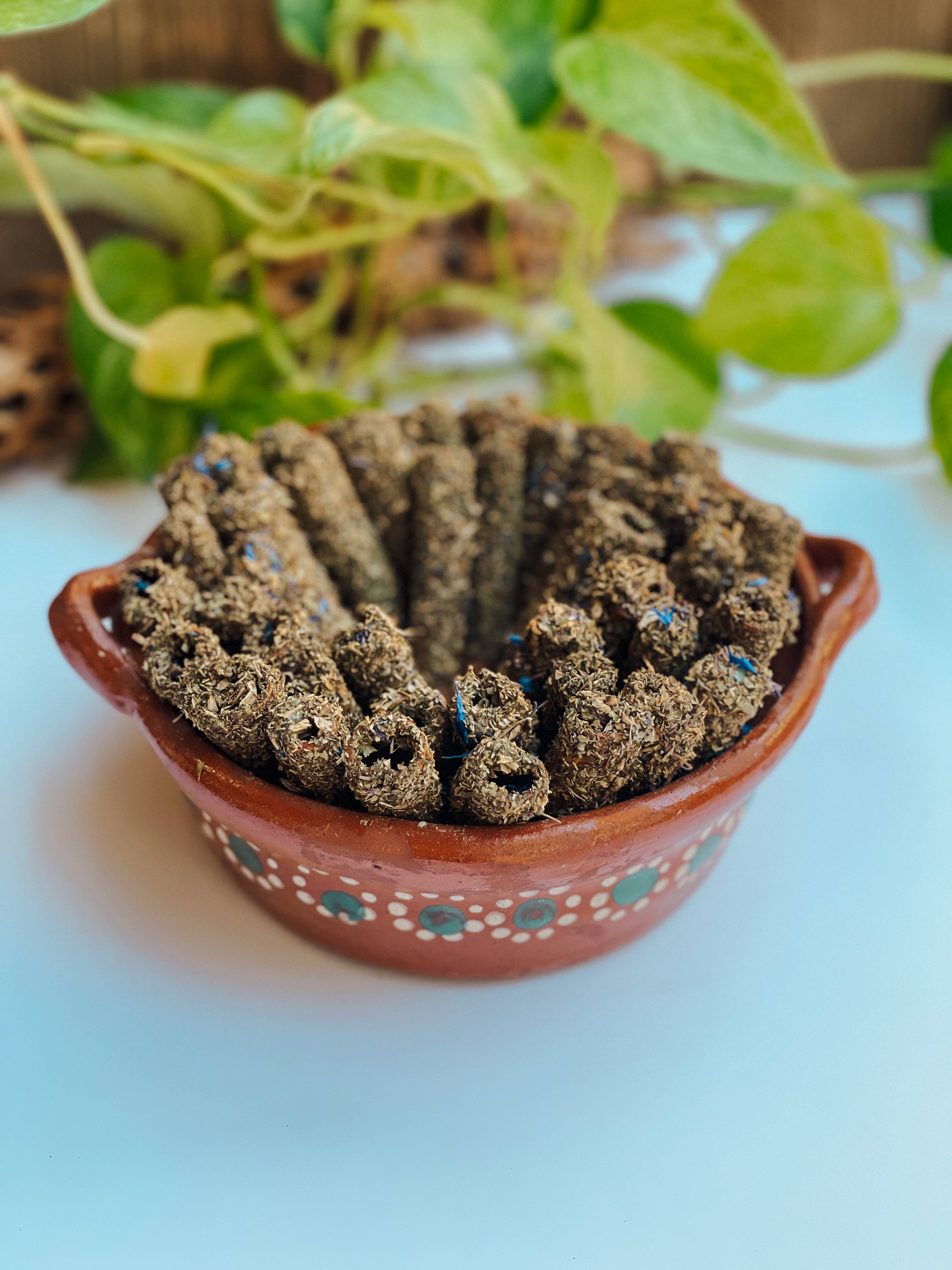 Yolia Botanica - Wholesale Incense - Canelitas - Palo Santo Alternative - 5 Pack1