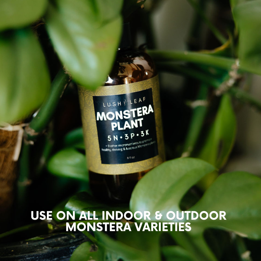 Lush Leaf - Wholesale Fertilizer - Monstera Plant Food7