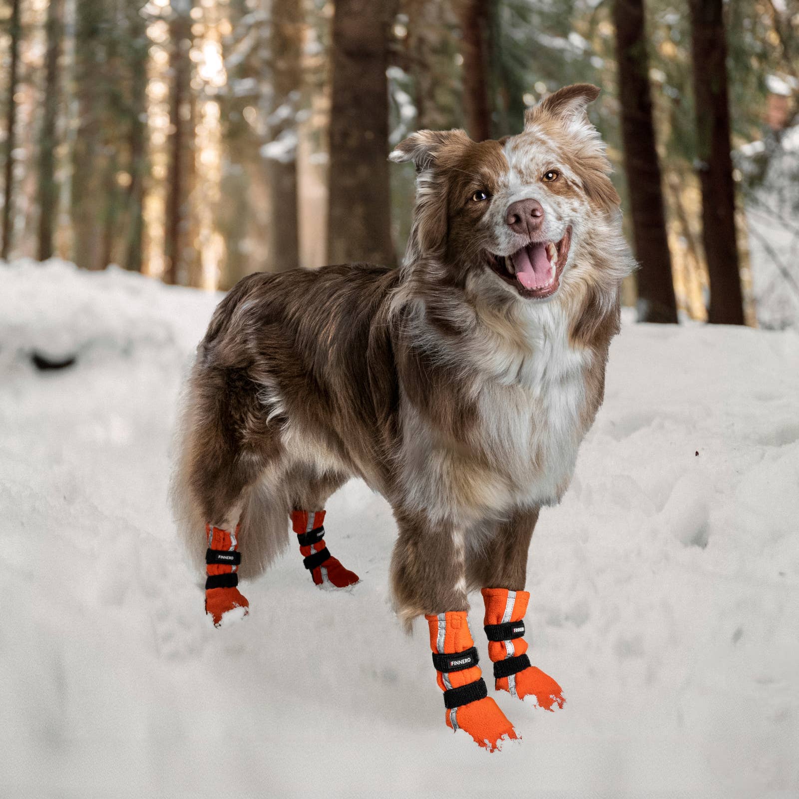 FINNERO - Wholesale Pet Boots - Dog - FINNERO HALLA REFLECTIVE Booties For Dogs 4pcs/pac, 3 Colors13