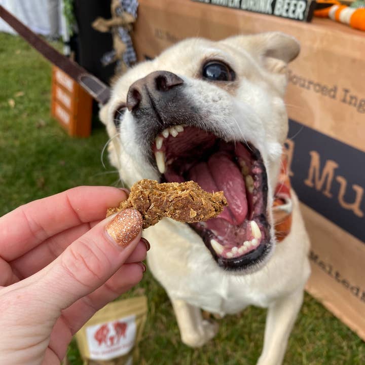 The Malted Mutt - Vente Friandises – chien - Biscuits pour chiens au porter mélasse et beurre de cacahuète2