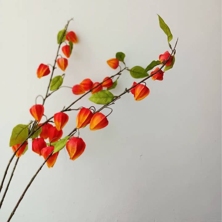 ACNITE(We cover U.S. import duties) - Wholesale Artificial flowers - Artificial silk lantern fruits orange flowers for home decor3