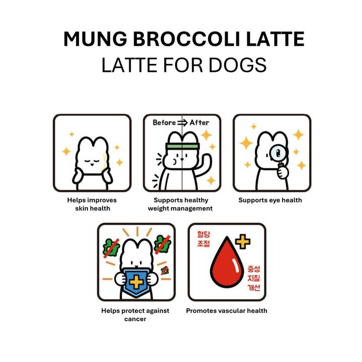 HIGH FOUR - Wholesale Pet treats – Dog - Coffee Latte for Dogs - Broccoli3