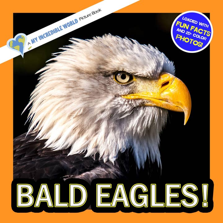 Bald Eagles! A My Incredible World Picture Book for Children for wholesale by My Incredible World