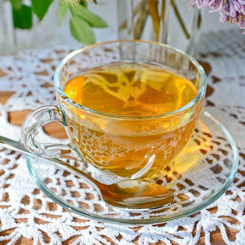 Door County Coffee - Wholesale Tea Bags - Harney & Sons Tropical Green Tea - 20 Bags1