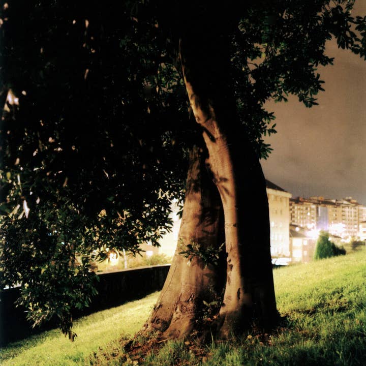 Fotografía sobre papel para venta al por mayor de Nuriart