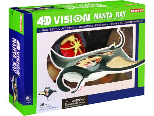 TEDCO Toys - Wholesale Classic Toy - Kids - 4D Manta Ray1