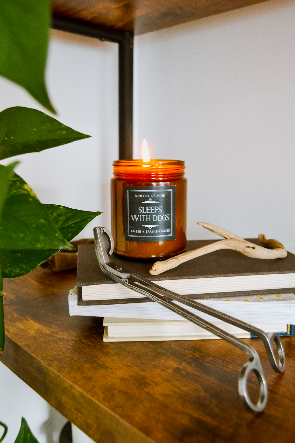 Kinfolk of Mine - Wholesale Jar/Filled Candle - Sleeps With Dogs 9oz Candle4