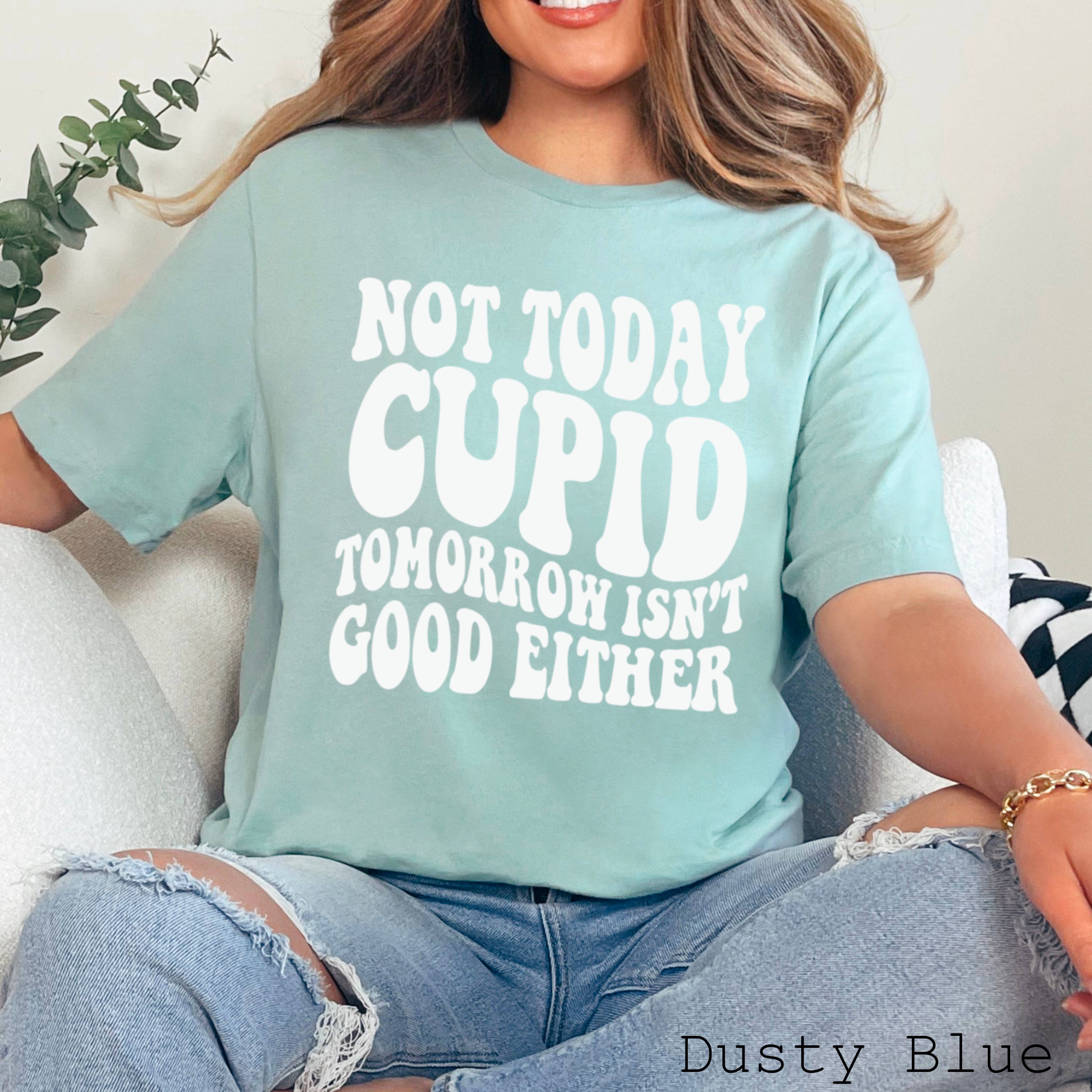 Shoppe SHC - Wholesale Screen Printed T-Shirt - Women's - Not Today Cupid Valentine's Day Graphic Tee | Bella Canvas 10