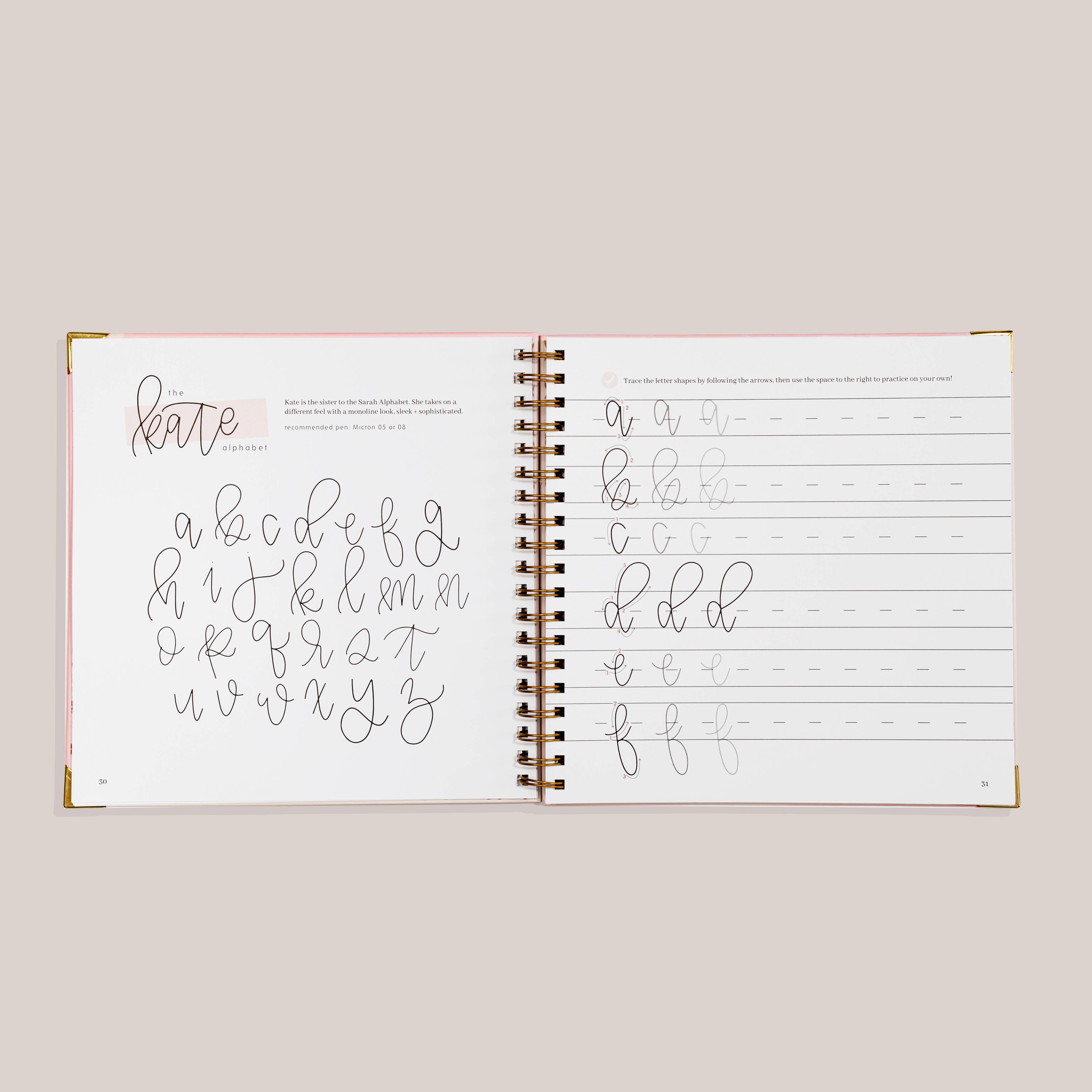 Paige Tate & Co. - Wholesale Crafts, Hobbies & DIY - Modern Calligraphy: A Calligraphy Practice Workbook2