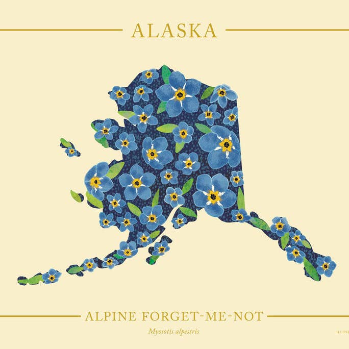 50 States of Beauty - Vendita all'ingrosso Stampa artistica - Stampa Alaska Native Botanicals