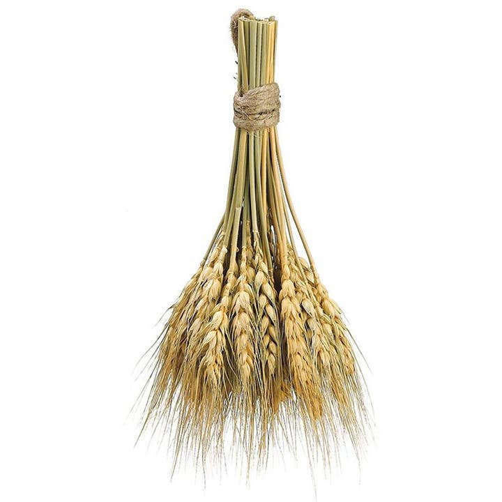 Will's Company - Wholesale Dried/Pressed Flowers - Hanging Dried Wheat Bundle - 8.25" L0