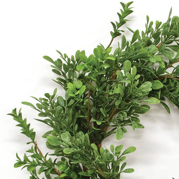 Saybrook Lane - Wholesale Wreath - Heritage Boxwood Candle Ring, 6.5"