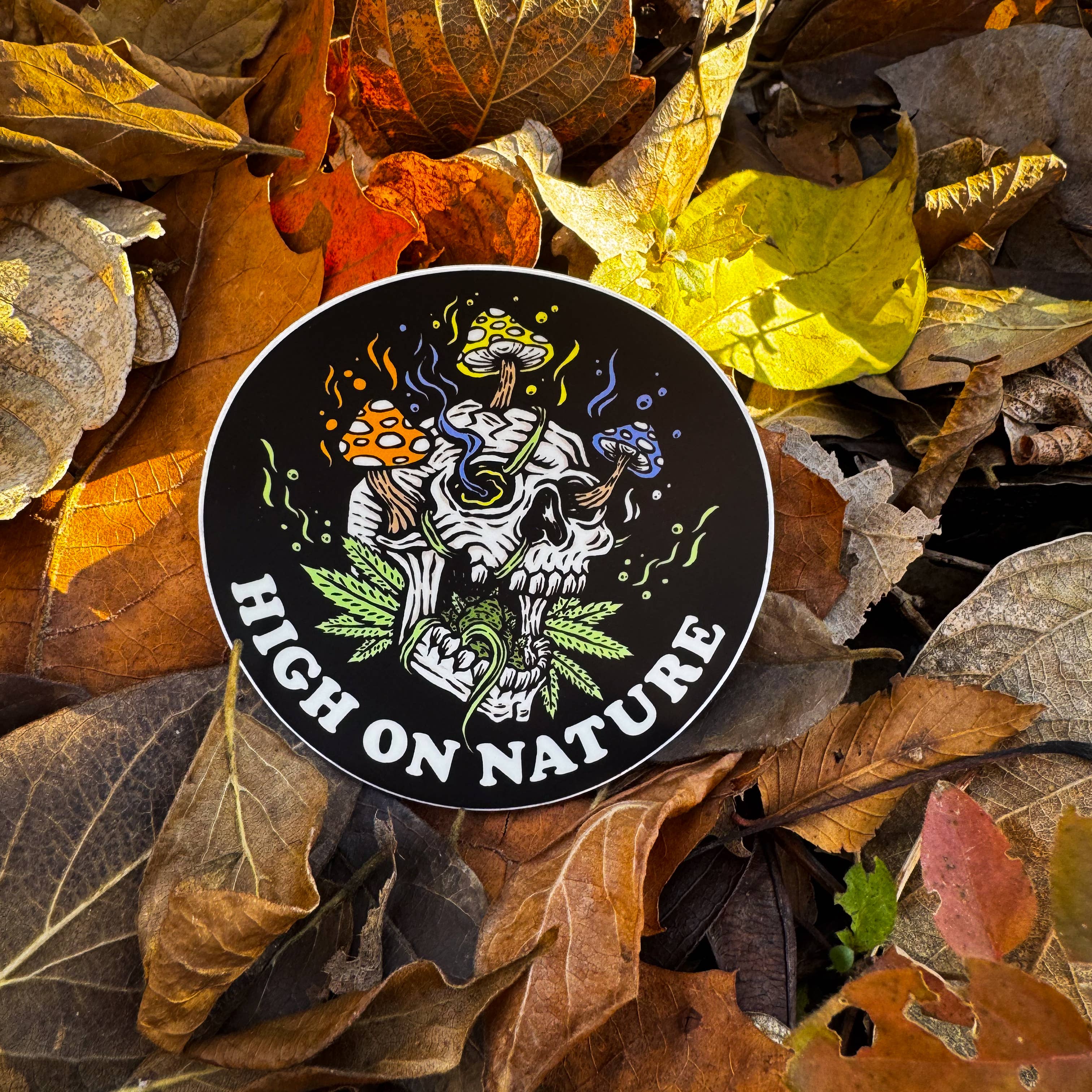 Hey Bear Outdoors - Vendita all'ingrosso Adesivo - Adesivo High On Nature Skull1