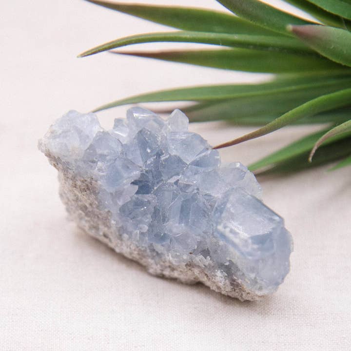 Celestine Geodes - Small - Brazilian Collection for wholesale by Tiny Rituals