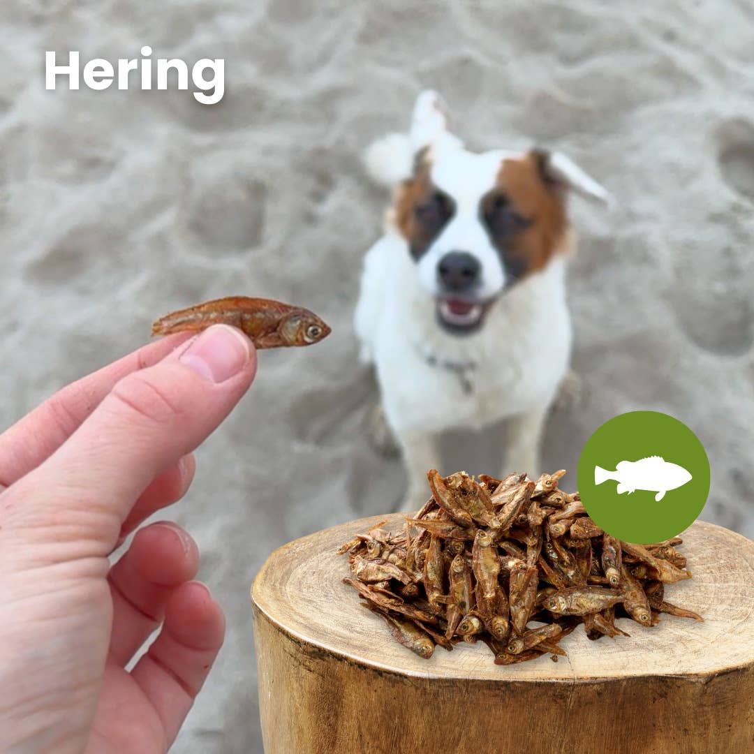 Kauartikel.com GmbH - Wholesale Pet Bone/Rawhide - Dog - herring2