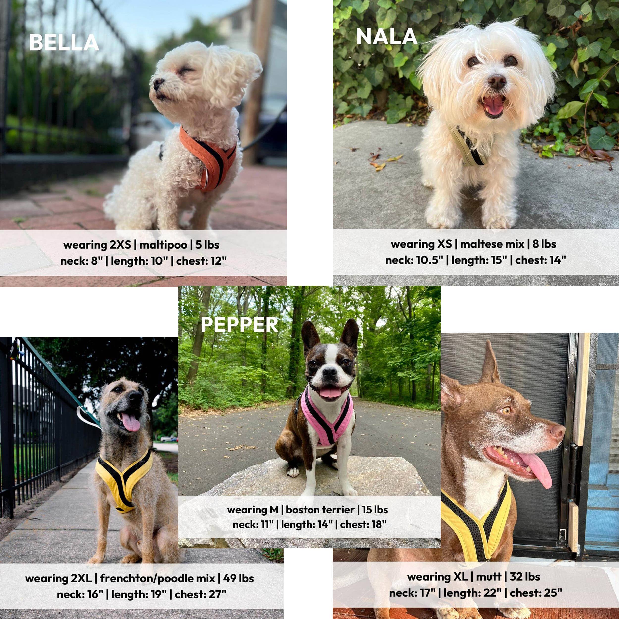 Gooby - Vente Harnais – chien - Harnais Gooby Escape Free Comfort X One pour chien6