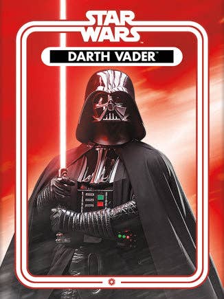 Star Wars - Darth Vader Flat Magnet (2.5" x 3.5") for wholesale by Great Stuff Novelties (GSN) by NMR Brands