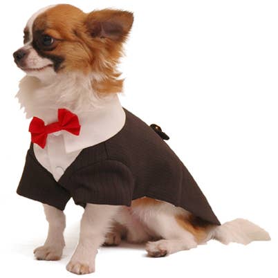 Pooch Outfitters - Wholesale Pet Costume - Dog - Ruff Ruff Tux1