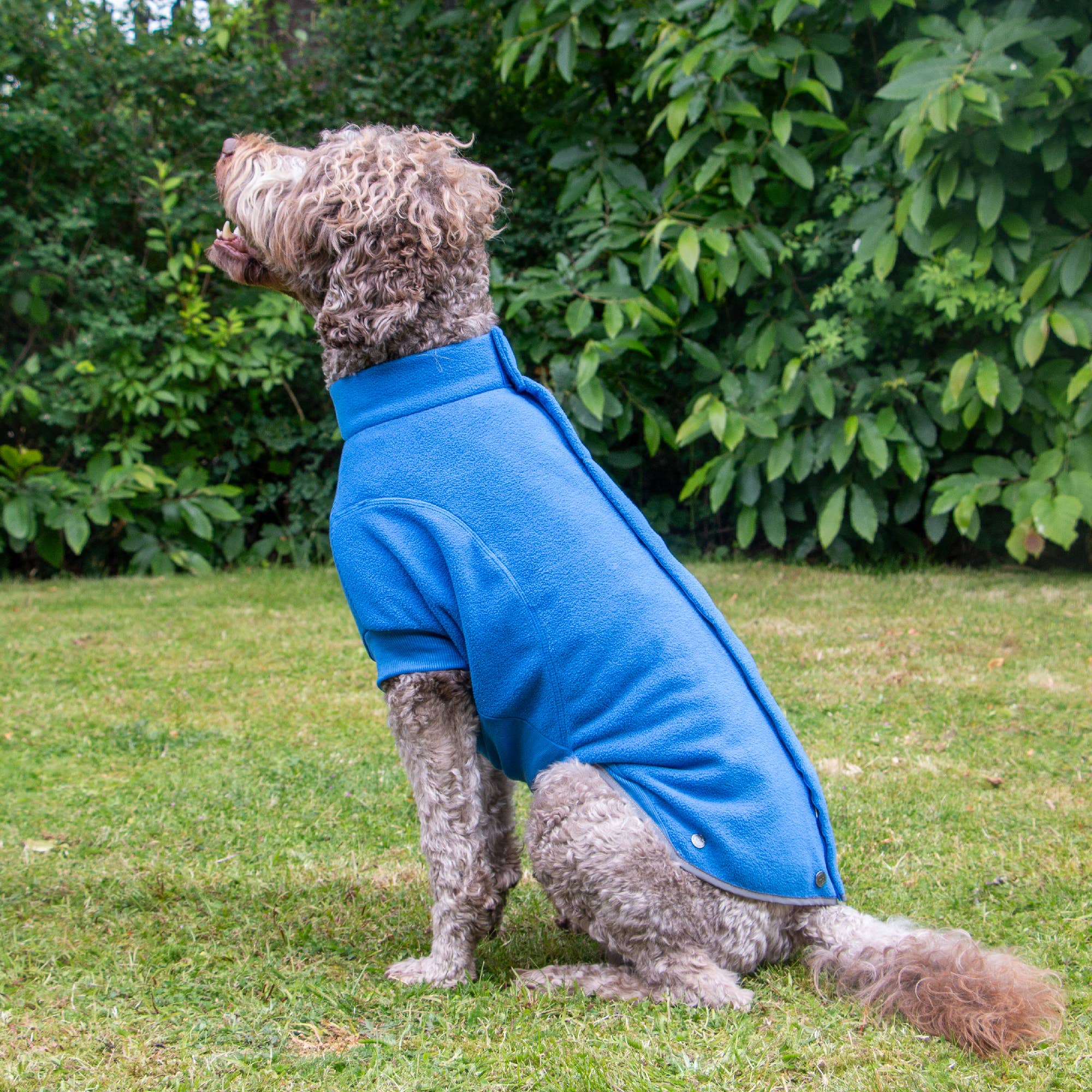 Ancol Pet Products Ltd - Vendita all'ingrosso Cappotto - Cani - Cappotto per cani in pile polare blu 0