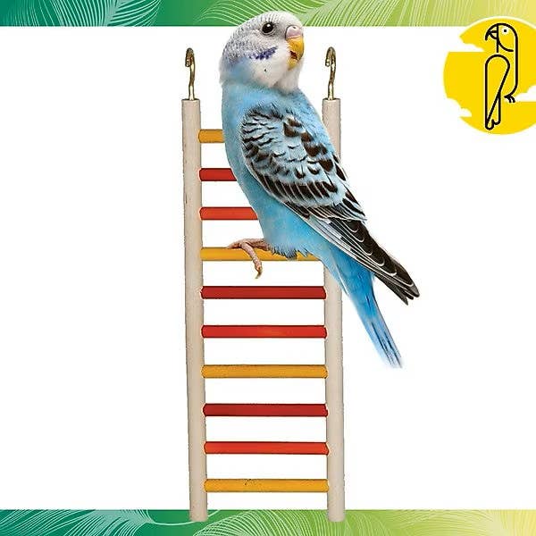 Caitec Inc - Wholesale Bird Swing/Toy - Featherland Paradise Parakeet Ladder2